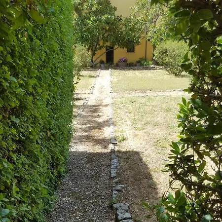 La Limonaia * Firenze